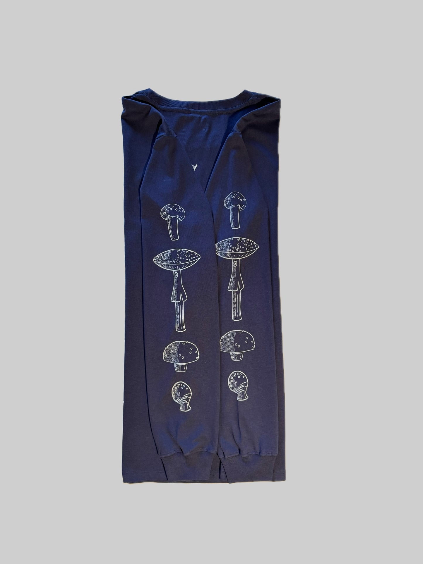 Alice in Mushroomland